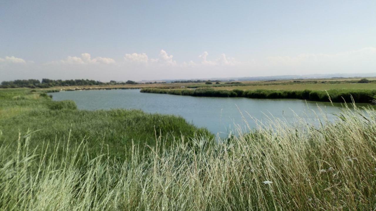Gite Repos Et Tranquillite G Cayeux-sur-Mer Buitenkant foto